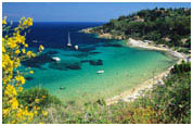 offerta albergo Isola del Giglio