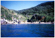 offerta albergo Rio nell'Elba