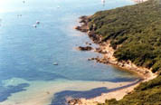 offerta albergo albinia