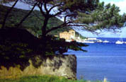 offerta villaggio Campiglia Marittima