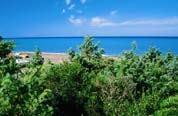 offerta Casa vacanze Marina di Bibbona